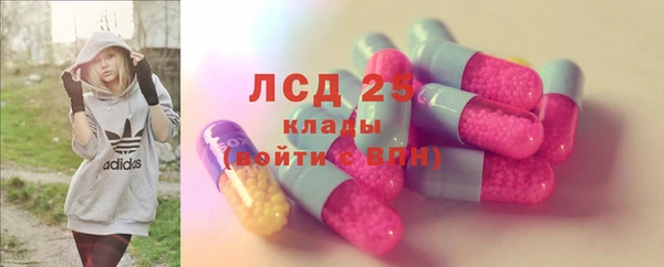 индика Касимов