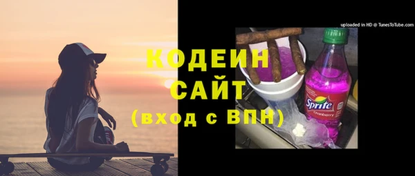 PSILOCYBIN Каменка