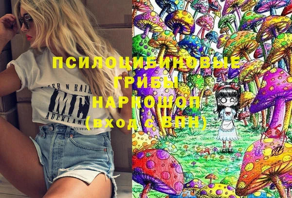 индика Касимов