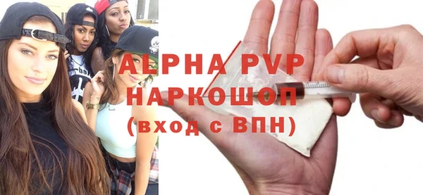индика Касимов