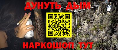 гидра Заводоуковск